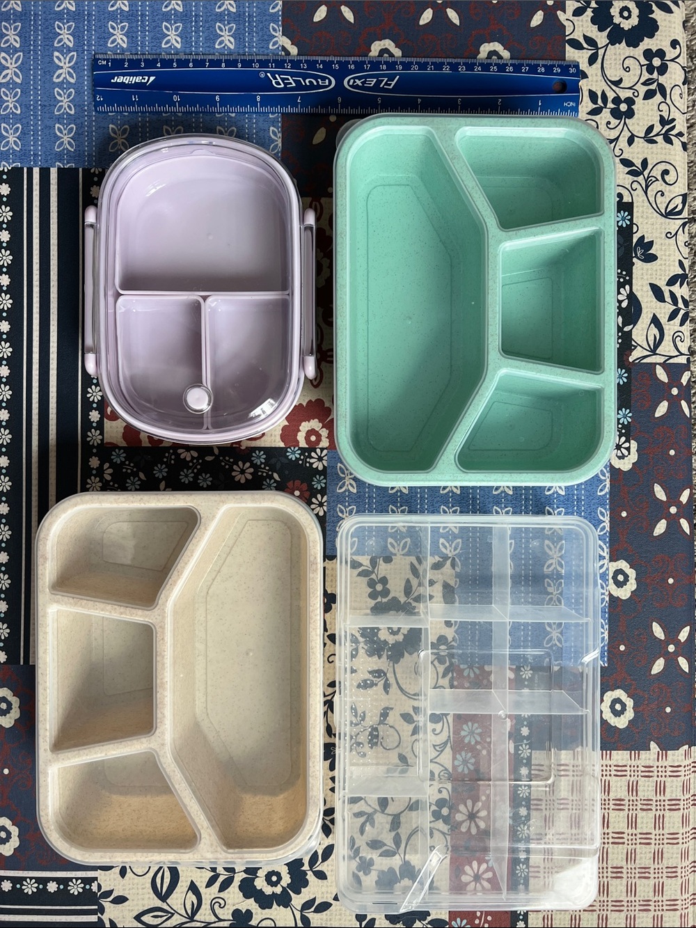 Set of 4 Sectioned Lunch Containers - Mint, Lavender, Beige, Clear snackle box